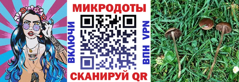 Псилоцибиновые грибы мицелий сколько стоит Солигалич